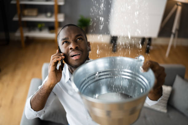 Best Water damage restoration insurance claims  in Chanute, KS