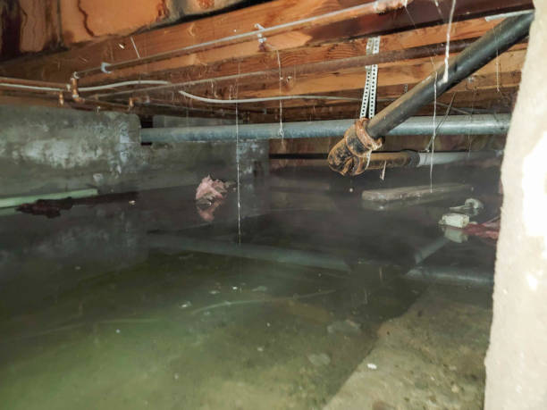 Water damage restoration insurance claims in KS