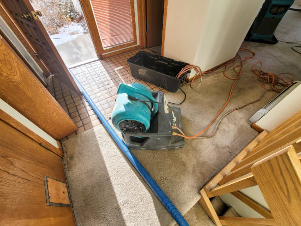 Best Residential water damage restoration  in Chanute, KS