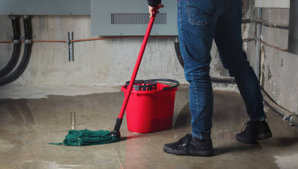 Best Residential water damage restoration  in Chanute, KS