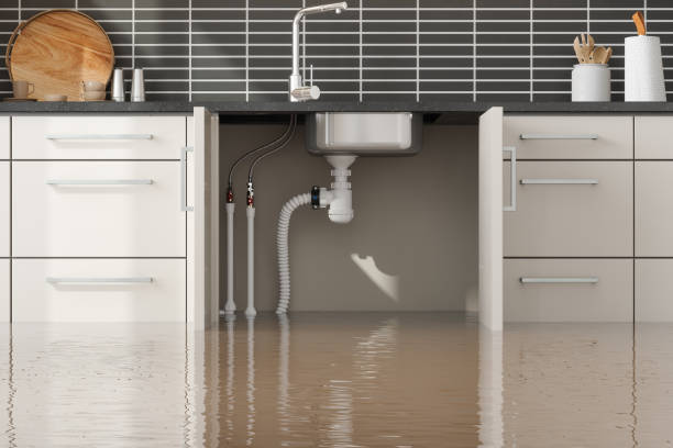 Best Ceiling water damage repair  in Chanute, KS